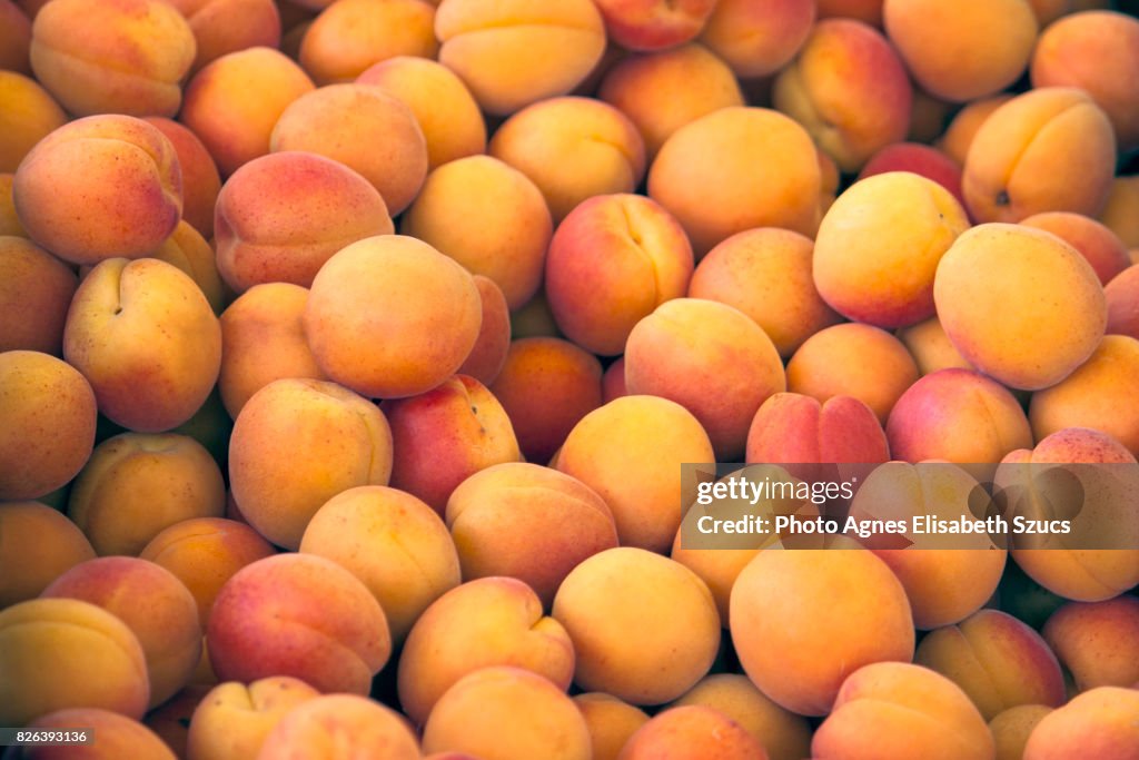 Full frame shot of Apricots
