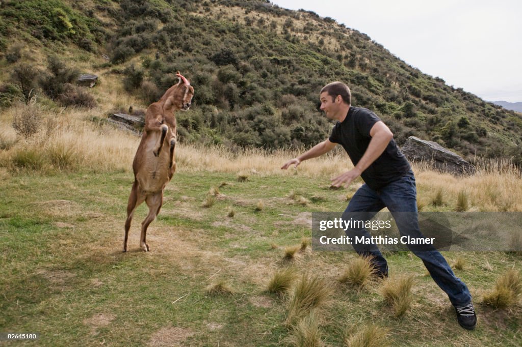 Young man plays with a goat