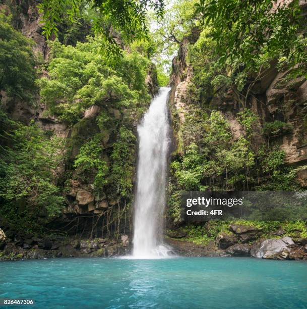 idílica cascada, rincón de la vieja national park, costa rica - waterfall fotografías e imágenes de stock