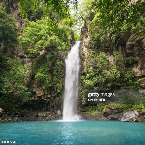 idyllische waterval, rincón de la vieja nationaal park, costa rica - waterval stockfoto's en -beelden