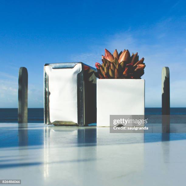 napkin holder and flower pot - napkin holder stock pictures, royalty-free photos & images