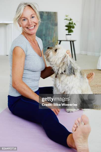 portrait of a senior woman being distracted by her dog while doing yoga at home - chinese crested powderpuff stock pictures, royalty-free photos & images