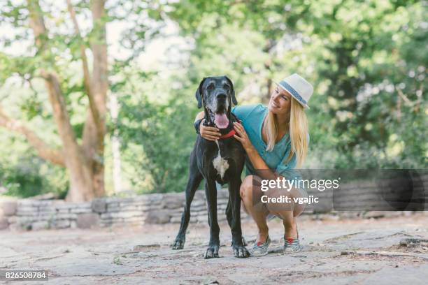 frau mit ihrem hund im park - dogge stock-fotos und bilder