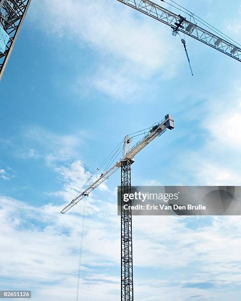 cranes - eric van den brulle stockfoto's en -beelden