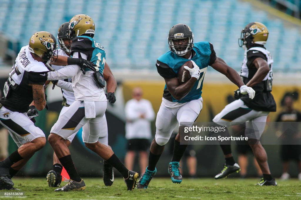 NFL: AUG 04 Jaguars Training Camp