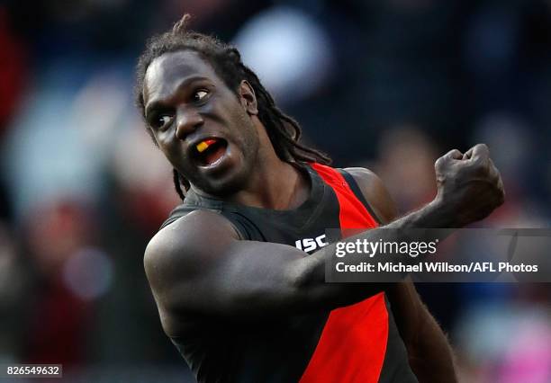 Anthony McDonald-Tipungwuti of the Bombers celebrates a goal during the 2017 AFL round 20 match between the Essendon Bombers and the Carlton Blues at...