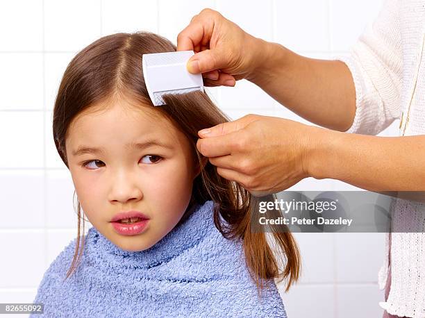 combing for head louse - piolho humano imagens e fotografias de stock