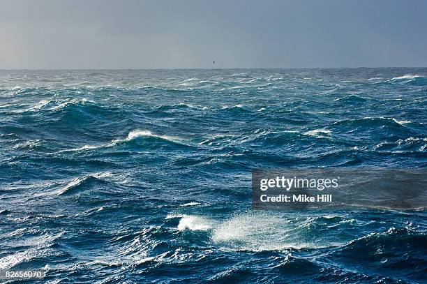 rough seas, southern atlantic ocean - grovkornig bildbanksfoton och bilder