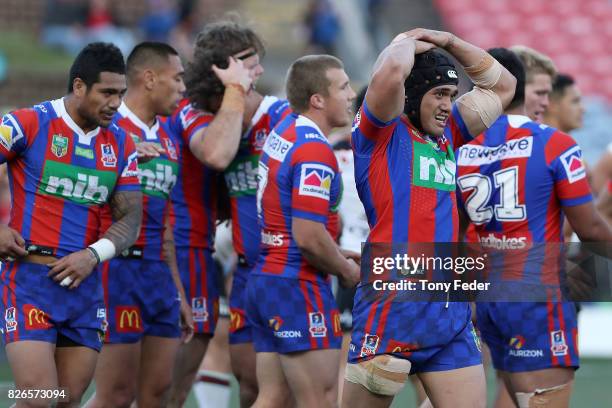 Knights players after scoring a try during the round 22 NRL match between the Newcastle Knights and the New Zealand Warriors at McDonald Jones...