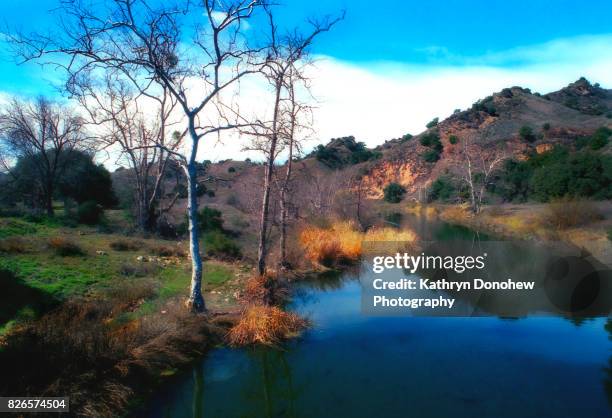 malibu creek state park - calabasas 個照片及圖片檔