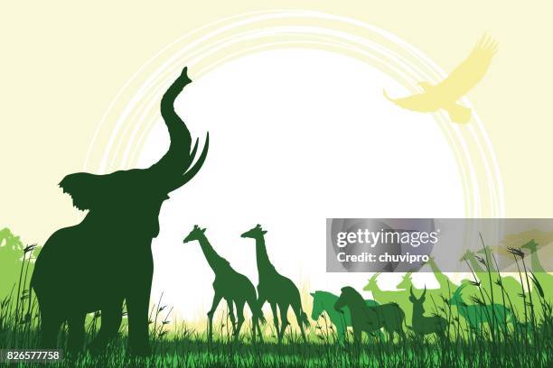 african safari background with trumpeting elephant, giraffes, zebras and antelopes - savannah animals silhouette stock illustrations