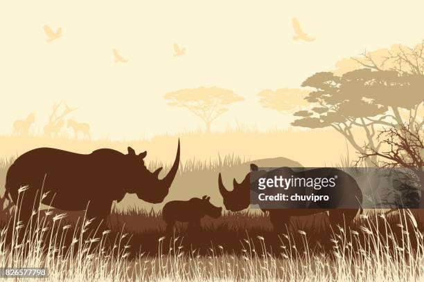 ilustraciones, imágenes clip art, dibujos animados e iconos de stock de fondo de safari africano con la familia de rhino - calf