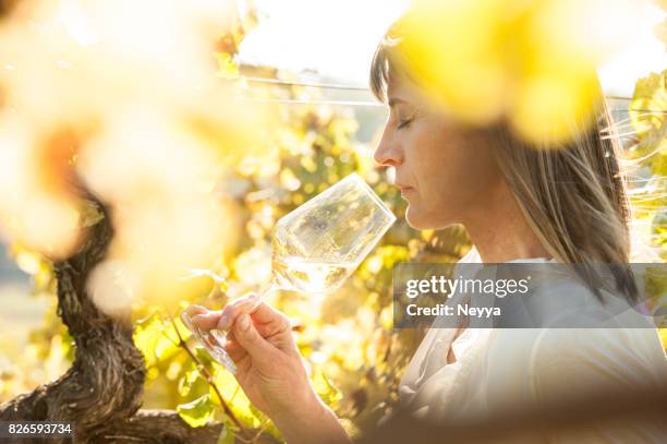 enologo donna con bicchiere di vino bianco in vigna - gusto foto e immagini stock