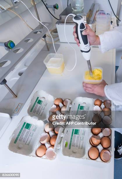 Picture taken on August 4, 2017 shows an employee of the Chemisches Veterinäruntersuchungsamt Münsterland-Emscher-Lippe whisking eggs at the...