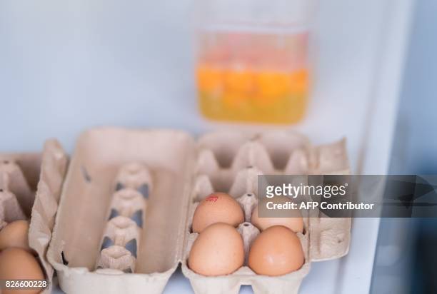 Picture taken on August 4, 2017 shows eggs in a laboratory of the Chemisches Veterinäruntersuchungsamt Münsterland-Emscher-Lippe in Muenster,...