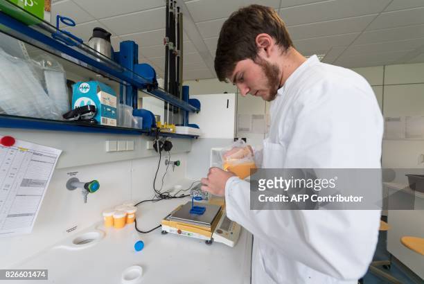 Picture taken on August 4, 2017 shows an employee of the Chemisches Veterinäruntersuchungsamt Münsterland-Emscher-Lippe working on eggs at the...