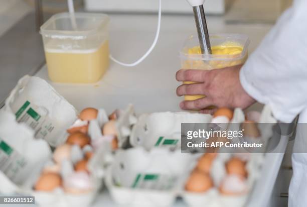 Picture taken on August 4, 2017 shows an employee of the Chemisches Veterinäruntersuchungsamt Münsterland-Emscher-Lippe working on eggs at the...