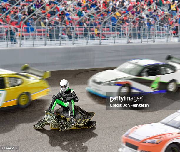 Turtle Winning Race Photos et images de collection - Getty Images