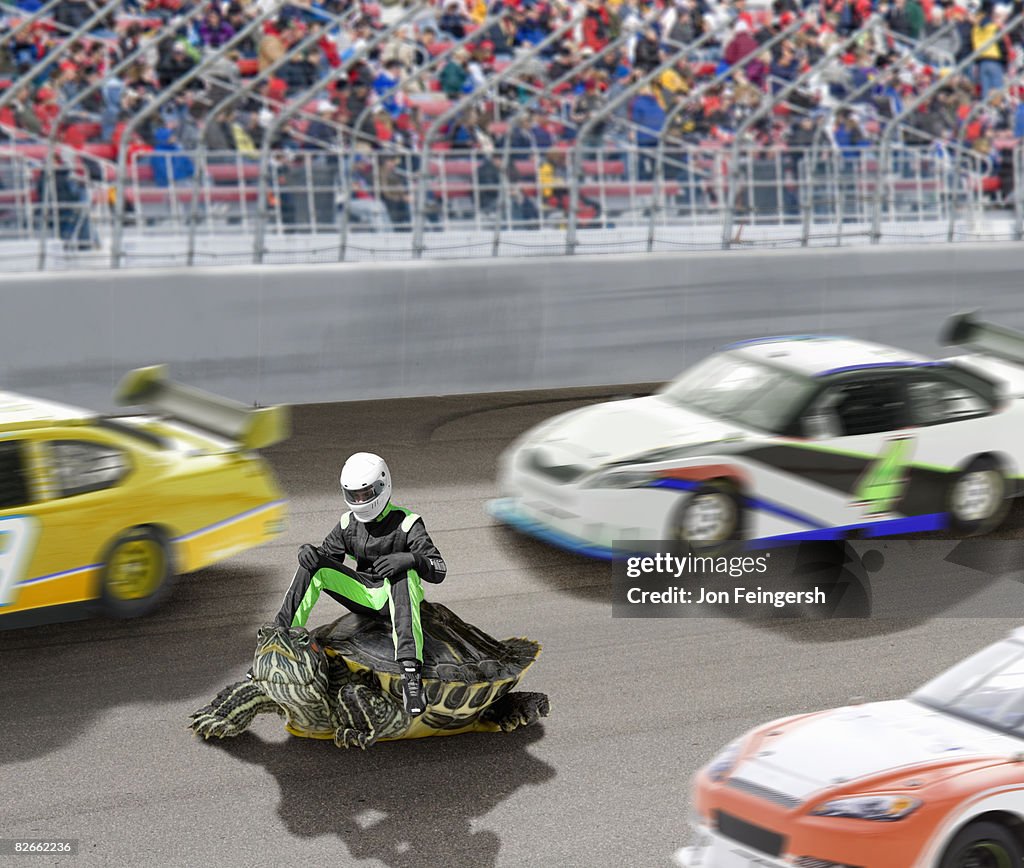 Stock car racer riding on a turtle