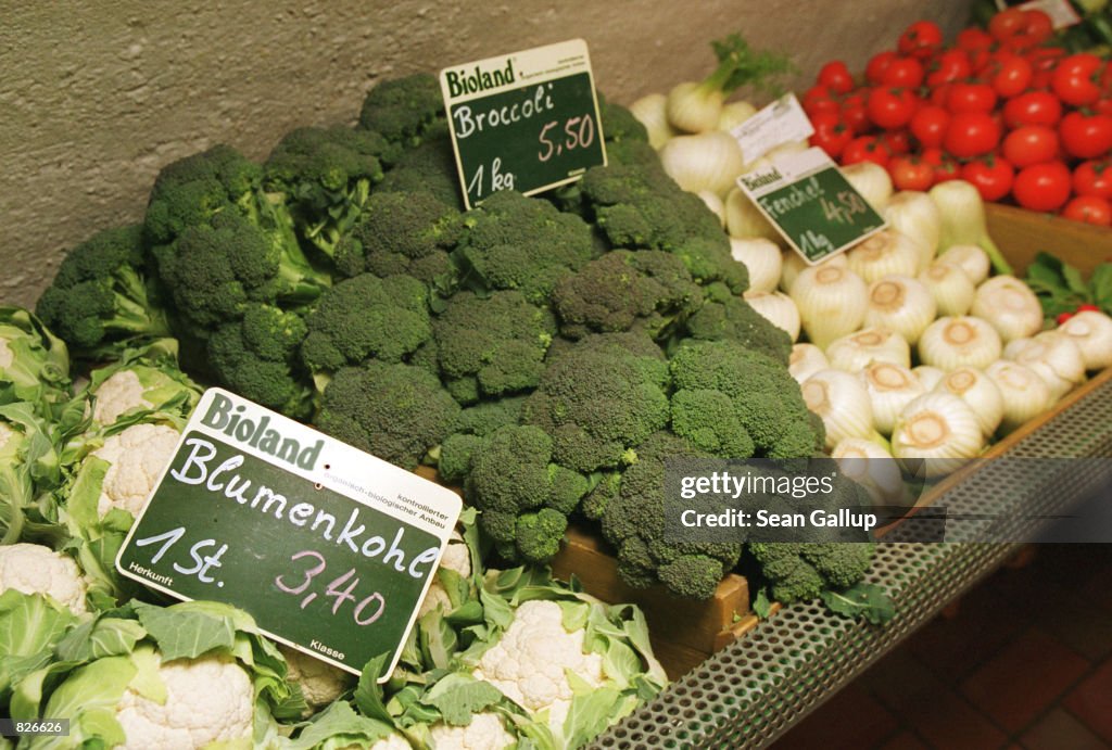 Organic Farmers in Germany Benefit from BSE Scare