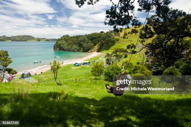 urupukapuka island, bay of islands, new zealand - northland new zealand stockfoto's en -beelden