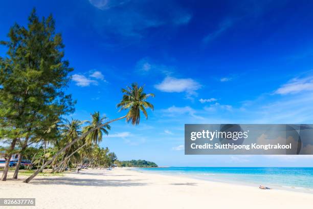 palm trees and amazing cloudy blue sky at tropical beach island in indian ocean. coconut tree with beautiful and romantic beach in chumphon , thailand. koh tao popular tourist destination in thailand. - koh tao thailand stock pictures, royalty-free photos & images