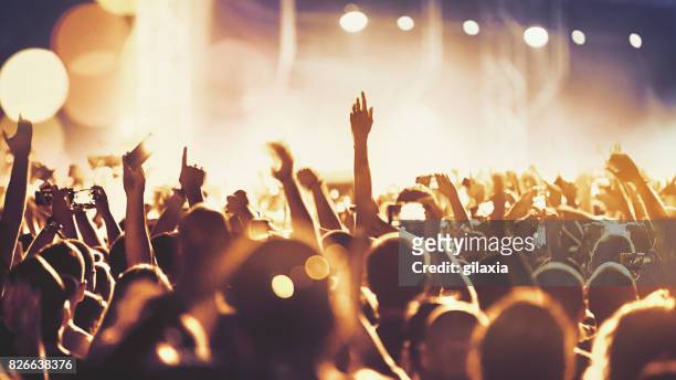 cheering crowd at a concert. - music festival stock pictures, royalty-free photos & images