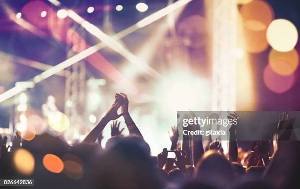 cheering crowd at a concert. - nightclub crowd stock pictures, royalty-free photos & images