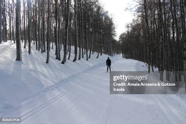 cross-country skiing in abodi (navarre) - southern european descent fotografías e imágenes de stock