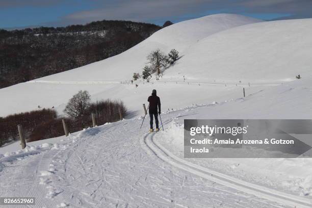 cross-country skiing in abodi (navarre) - southern european descent fotografías e imágenes de stock