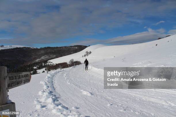 cross-country skiing in abodi (navarre) - southern european descent fotografías e imágenes de stock