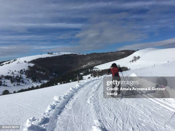 cross-country skiing in abodi (navarre) - southern european descent stock-fotos und bilder