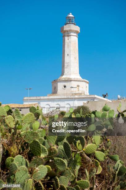 farol e figos da índia - potenza - fotografias e filmes do acervo