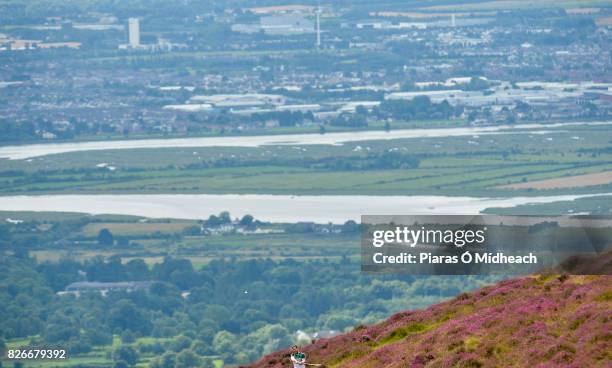 Louth , Ireland - 5 August 2017; Eventual Senior Hurling event winner Tadhg Haran of Galway during the 2017 M Donnelly GAA All-Ireland Poc Fada...