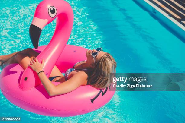 sexy mädchen im bikini mit sonnenbrille auf aufblasbare flamingo - luftmatratze stock-fotos und bilder