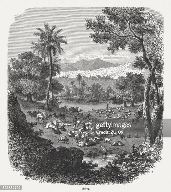 the simeonites in gedor (1 chronicles 4, 39-40), published 1886 - shepherd flock stock illustrations