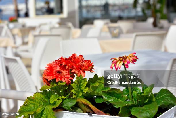 giardini naxos italy - naxos sicily stock pictures, royalty-free photos & images