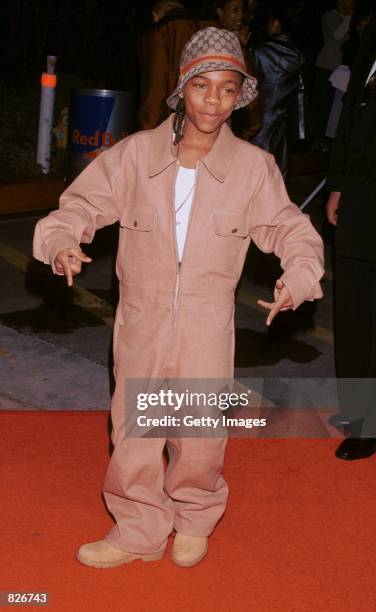 Rapper Lil Bow Wow attends the 32nd Annual NAACP Image Awards March 1, 2001 in Universal City, CA.