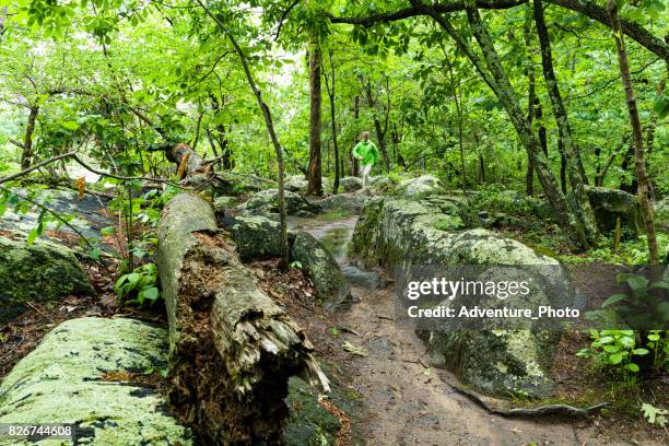 trail running hiking in great falls, virginia - mclean virginia stock pictures, royalty-free photos & images