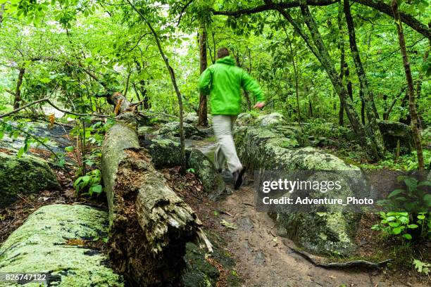 trail running hiking in great falls, virginia - mclean stock pictures, royalty-free photos & images