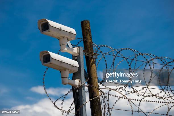 security camera and razor wire fence - thorn pattern stock pictures, royalty-free photos & images