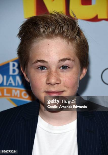 Actor Casey Simpson arrives at the premiere of Open Road Films' "The Nut Job 2: Nutty By Nature" at the Regal Cinemas L.A. Live on August 5, 2017 in...