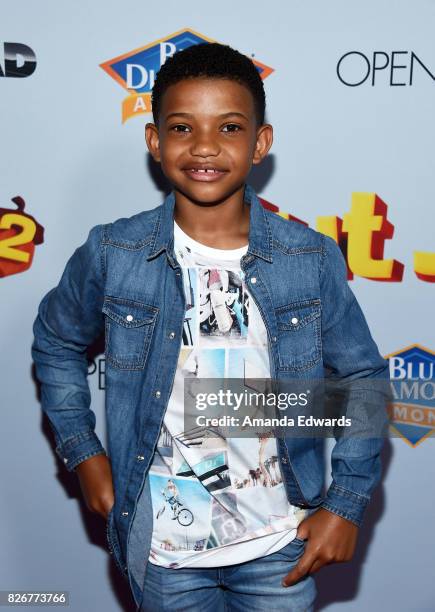 Actor Lonnie Chavis arrives at the premiere of Open Road Films' "The Nut Job 2: Nutty By Nature" at the Regal Cinemas L.A. Live on August 5, 2017 in...