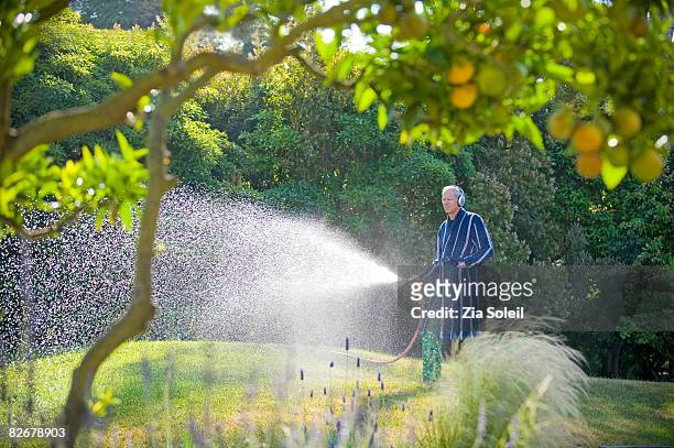 man watering t - water sprayer photos et images de collection