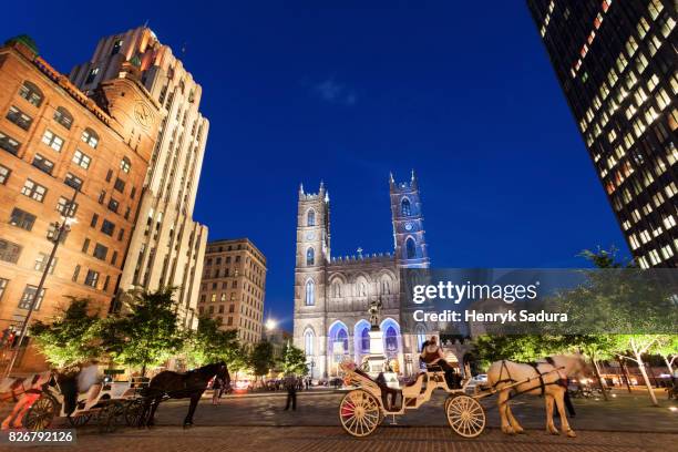 notre-dame basilica of montreal - montreal downtown stock pictures, royalty-free photos & images