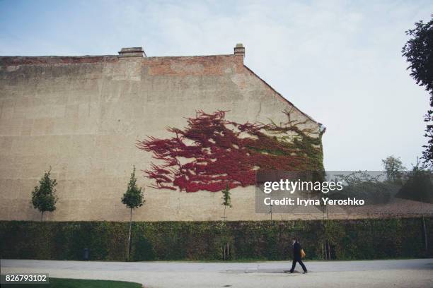 Leaf art on the wall and a stranger