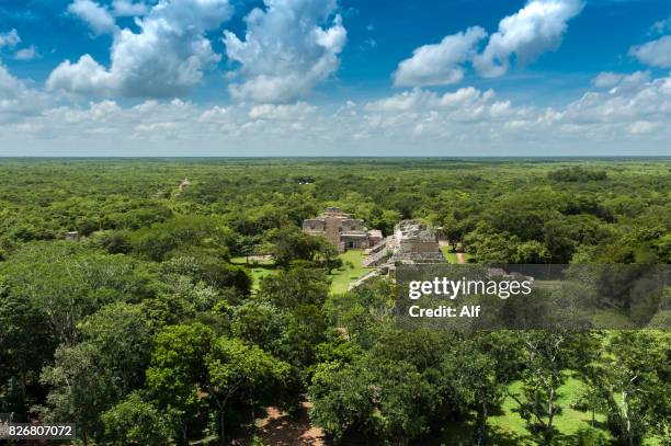 view from the top of the acropolis of ek balam in yucatan, mexico - pre columbian stock pictures, royalty-free photos & images