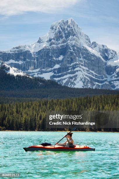 female kayaking on upper waterfowl lake beneath howse peak in the canadian rockies, banff national park, alberta, canada - howse peak stock pictures, royalty-free photos & images