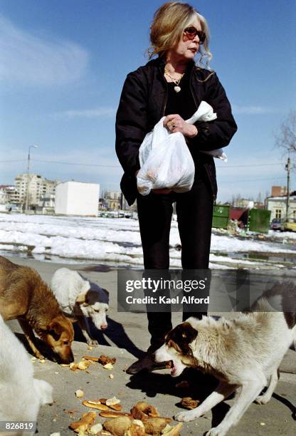 French animal rights activist and former actress Brigitte Bardot feeds bread to stray dogs March 2, 2001 on a back street in Bucharest, Romania....