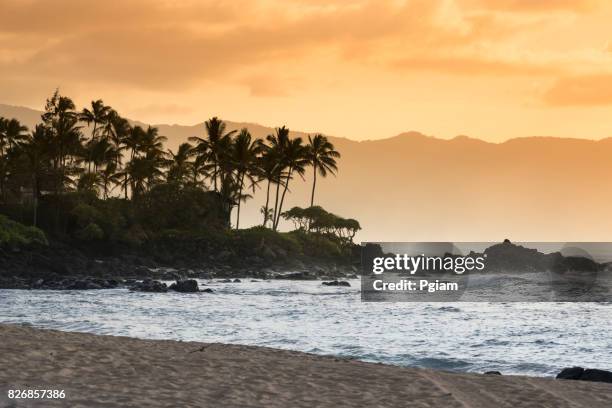 waimea bay beach park oahu hawaii - waikiki beach stock-fotos und bilder